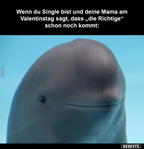 Wenn, Single, Mama, Valentinstag