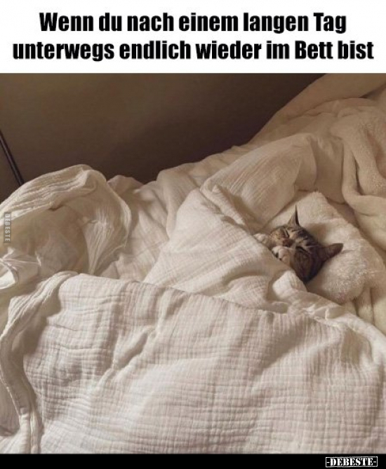 Wenn du nach einem langen Tag unterwegs endlich wieder im Bett bist.. - Lustige Bilder | DEBESTE.de