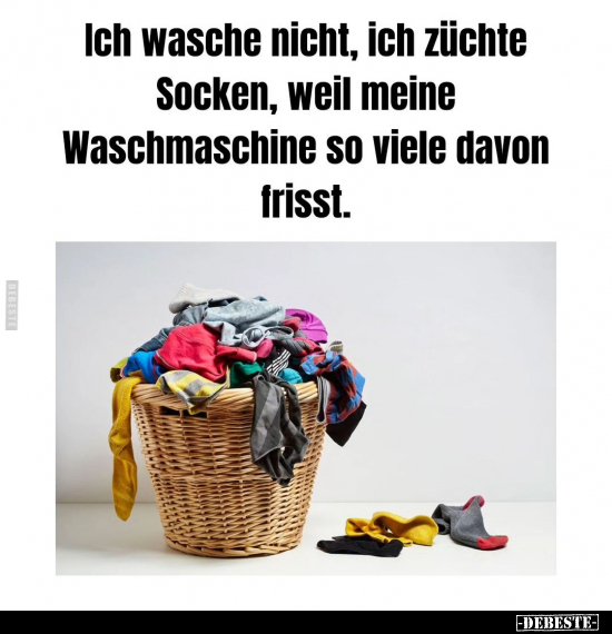 Ich wasche nicht, ich züchte Socken.. - Lustige Bilder | DEBESTE.de
