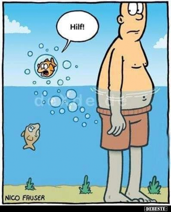 Hilf!