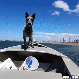 Oh, möchtest du schon gehen? Ok, spring!