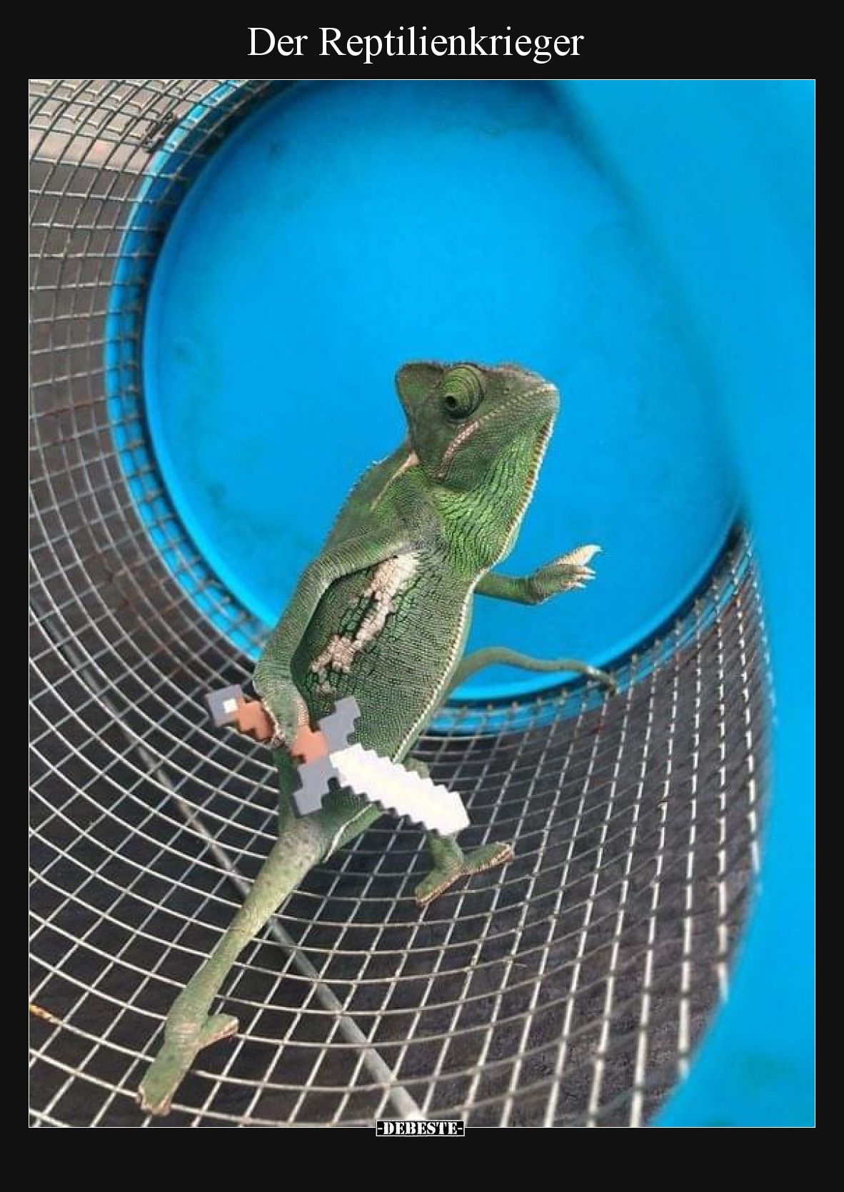 Der Reptilienkrieger