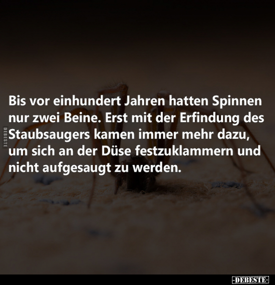 Spinnen