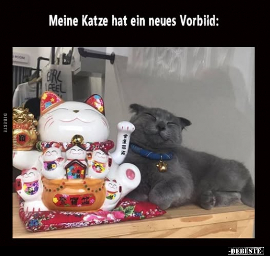 Meine Katze hat ein neues Vorbild.. - Lustige Bilder | DEBESTE.de