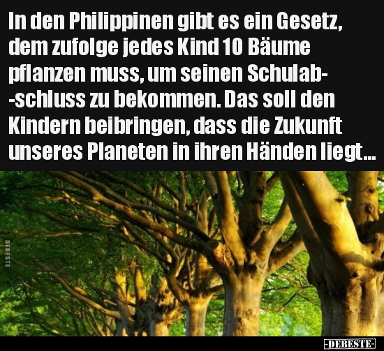 In den Philippinen gibt es ein Gesetz, dem zufolge jedes..