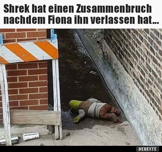 Shrek hat einen Zusammenbruch nachdem Fiona ihn verlassen.. - Lustige Bilder | DEBESTE.de