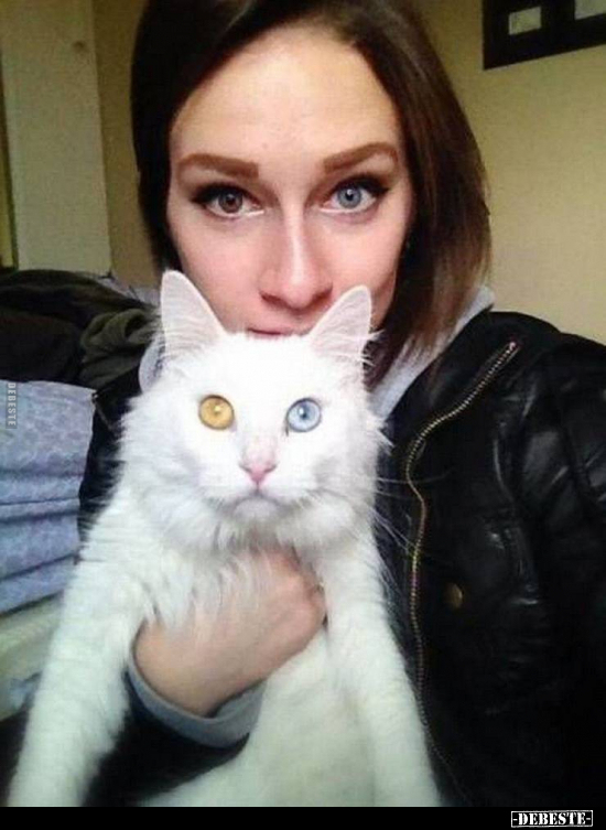  - Lustige Bilder | DEBESTE.de