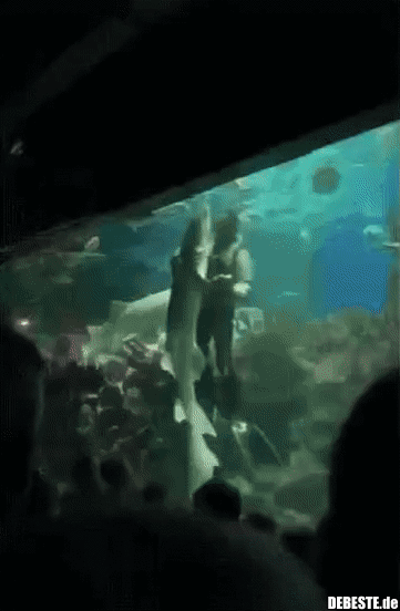 Denk daran, im Meer gibt es viele Fische..