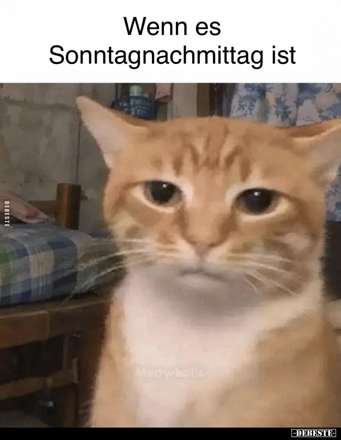 Wenn es
Sonntagnachmittag ist