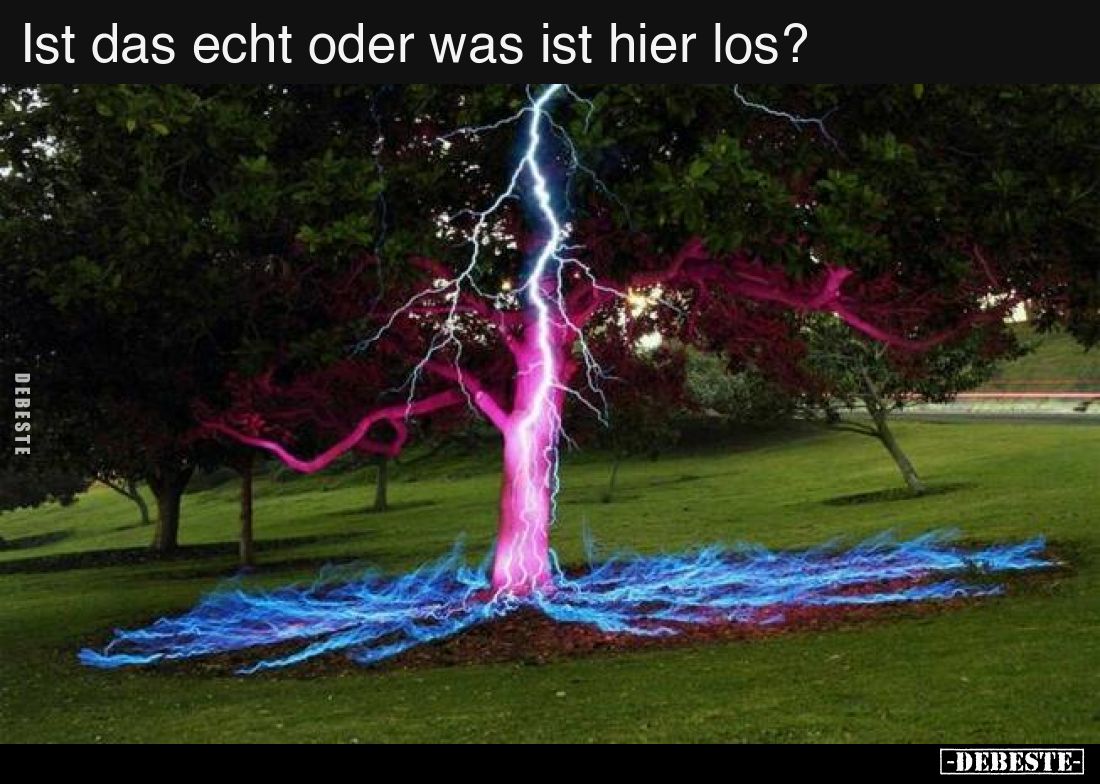 Ist das echt oder was ist hier los?..