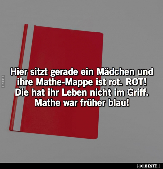 Hier sitzt gerade ein Mädchen und ihre Mathe-Mappe ist rot... - Lustige Bilder | DEBESTE.de