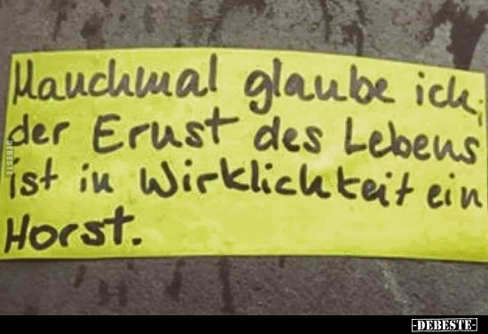 Manchmal Glaube Ich Der Ernst Des Lebens Ist In Lustige Bilder Spruche Witze Echt Lustig