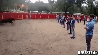 Ein Stier greift nur an, wenn er provoziert wird..