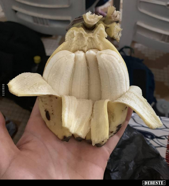  - Lustige Bilder | DEBESTE.de