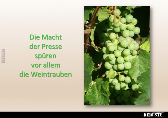 Die Macht der Presse spüren vor allem die Weintrauben.. - Lustige Bilder | DEBESTE.de