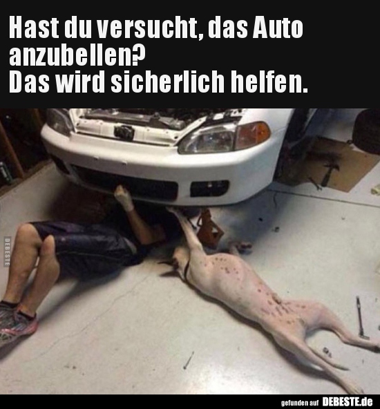 Hast du versucht, das Auto anzubellen? - Lustige Bilder | DEBESTE.de