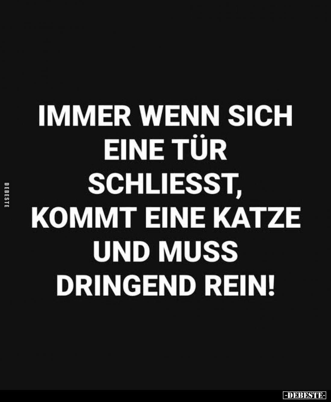 Immer wenn sich eine Tür schliesst, kommt eine Katze und muss dringend rein!