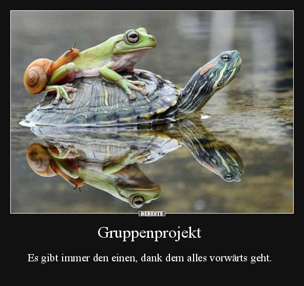 Gruppenprojekt..