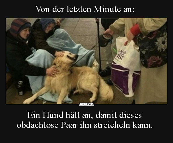 Von der letzten Minute an: Ein Hund hält an, damit dieses.. - Lustige Bilder | DEBESTE.de