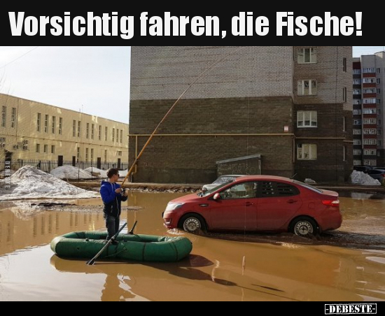 Vorsichtig fahren, die Fische!.. - Lustige Bilder | DEBESTE.de