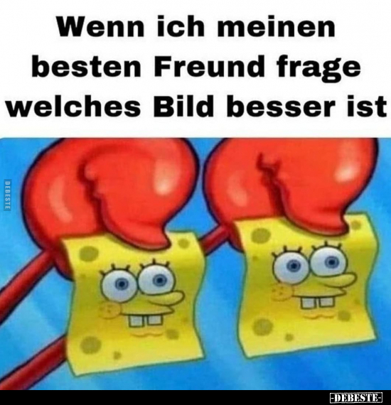 Wenn ich meinen besten Freund frage welches Bild besser.. - Lustige Bilder | DEBESTE.de