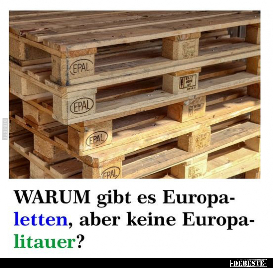 WARUM gibt es Europaletten, aber keine Europalitauer?.. - Lustige Bilder | DEBESTE.de