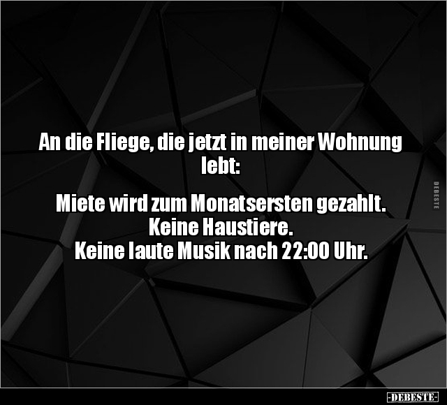 An die Fliege, die jetzt in meiner Wohnung lebt.. - Lustige Bilder | DEBESTE.de