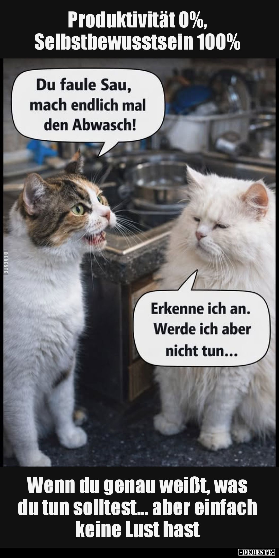 Produktivität 0%, Selbstbewusstsein 100%
-
Du faule Sau, mach endlich mal den Abwasch!
-
Erkenne ich an. Werde ich aber n...