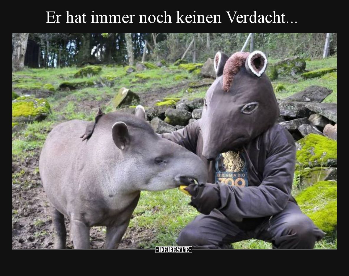 Er hat immer noch keinen Verdacht...