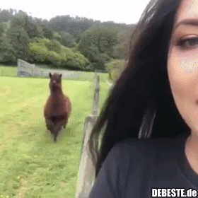 Hat hier jemand Selfie gesagt?