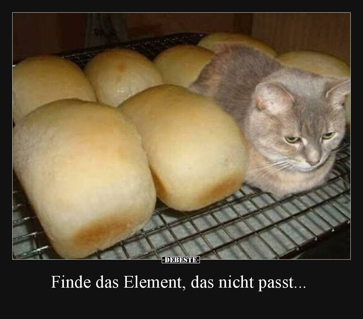 Finde das Element, das nicht passt...
