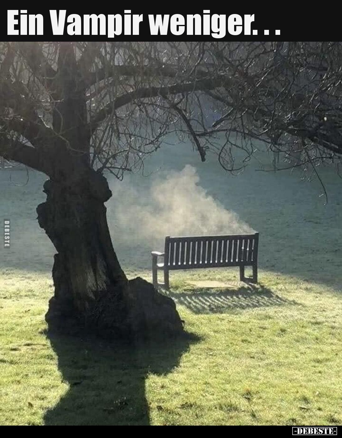 Ein Vampir weniger...