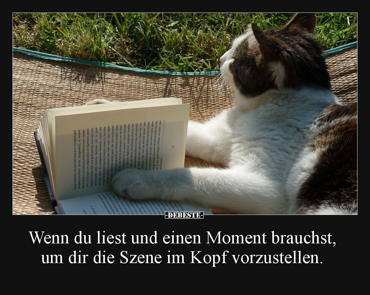 Wenn du liest und einen Moment brauchst, um dir die Szene im Kopf vorzustellen.