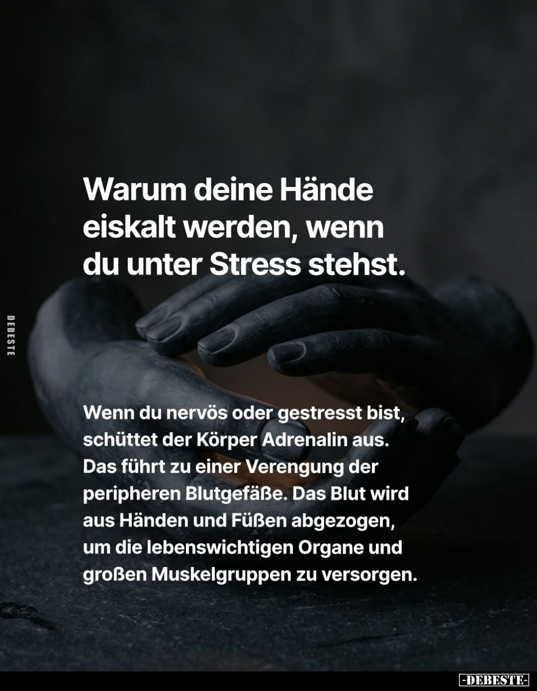 Warum deine Hände eiskalt werden, wenn du unter Stress stehst.
Wenn du nervös oder gestresst bist, schüttet der Körper Adren...