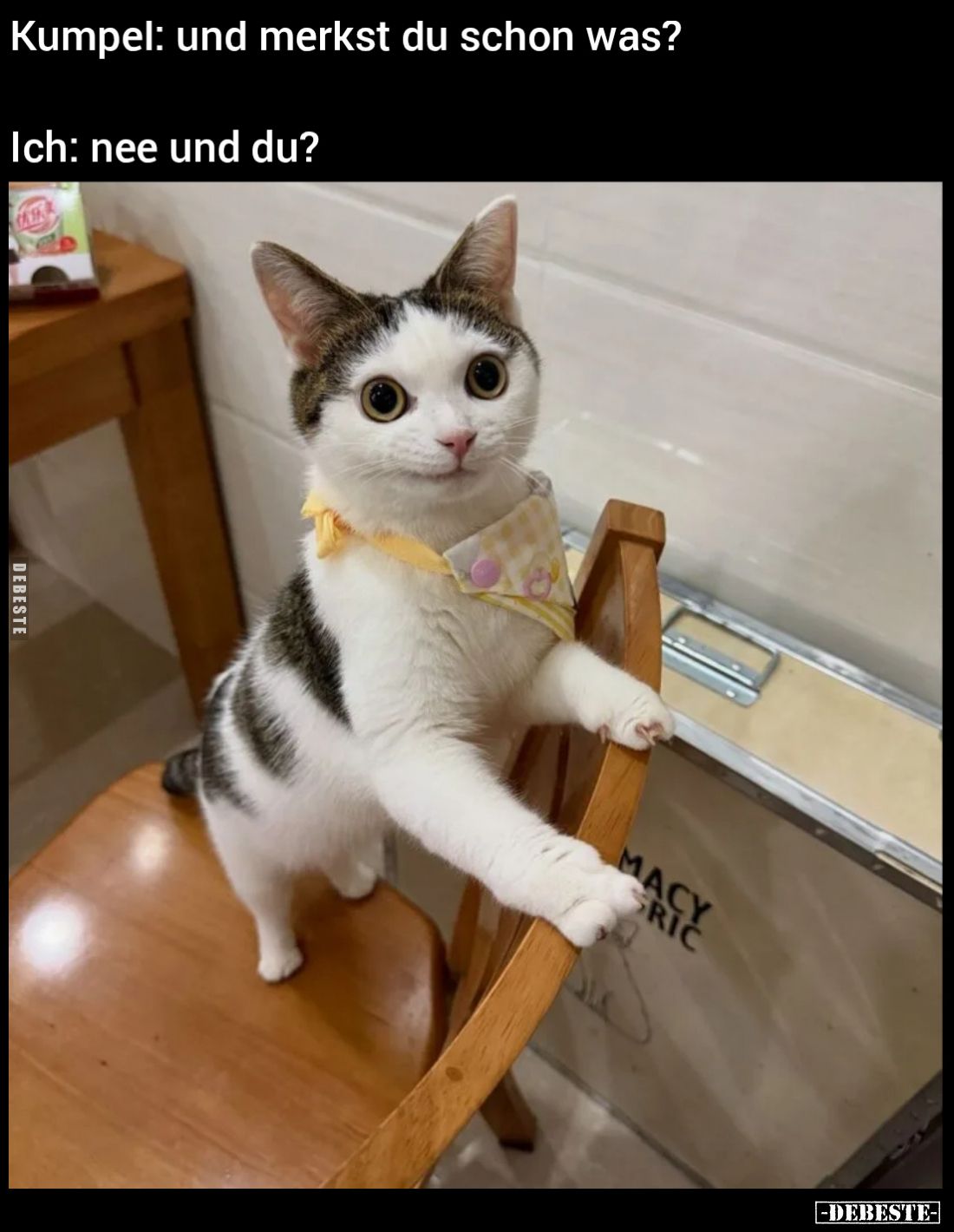 Kumpel: und merkst du schon was? Ich: nee und du?.. - Lustige Bilder | DEBESTE.de