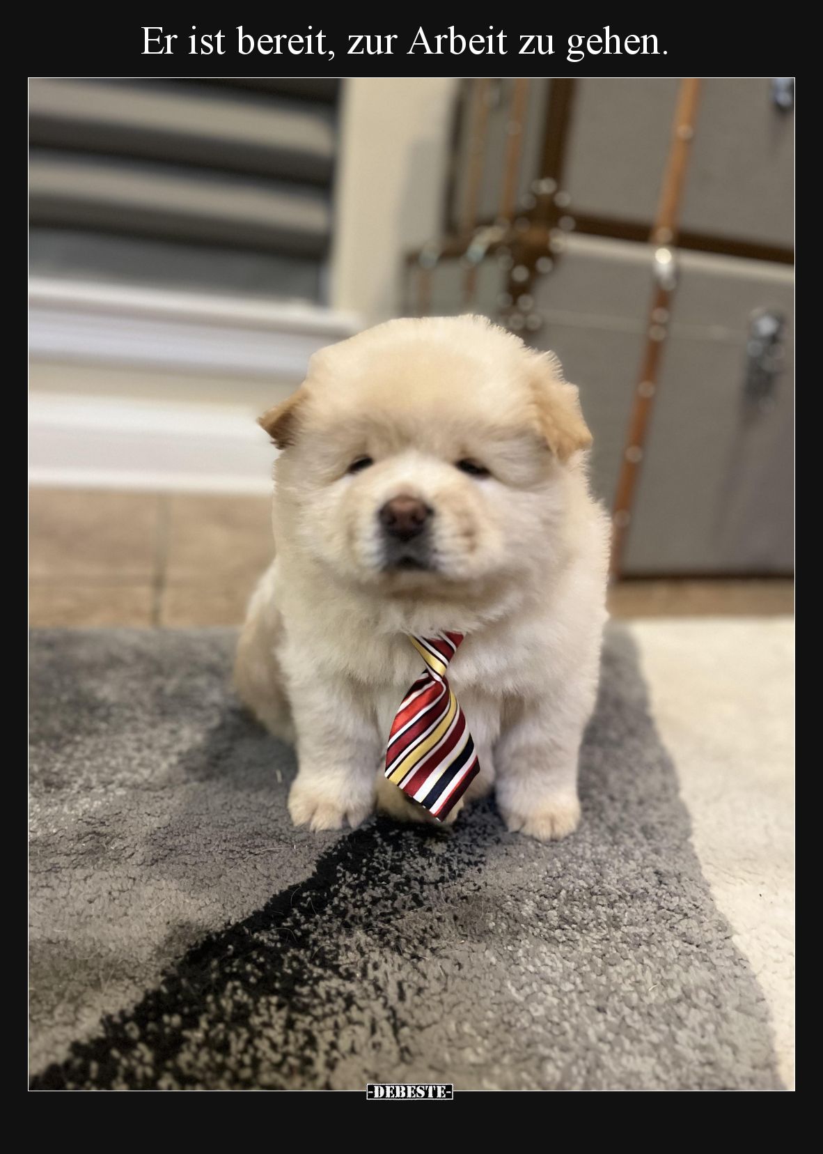 Er ist bereit, zur Arbeit zu gehen.