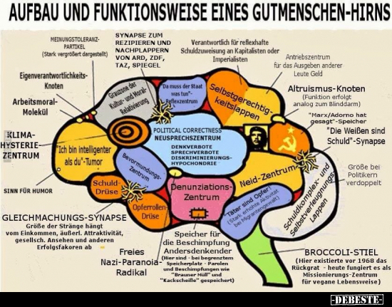 Aufbau und Funktionsweise eines Gutmenschen-Hirns.. - Lustige Bilder | DEBESTE.de