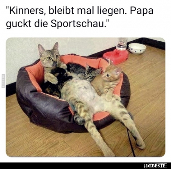 "Kinners, bleibt mal liegen. Papa guckt die.." - Lustige Bilder | DEBESTE.de