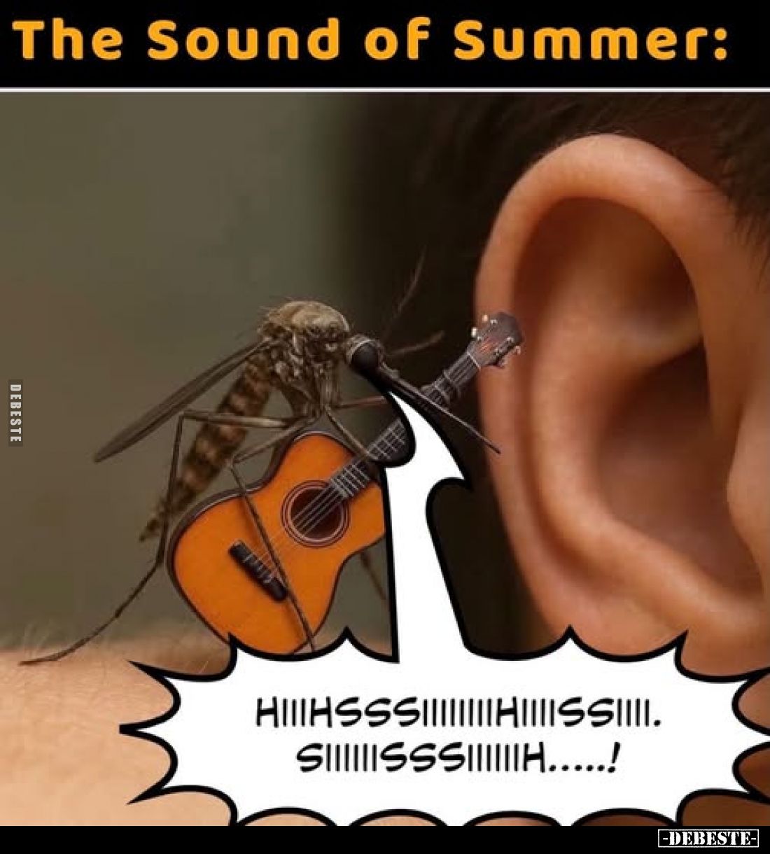 The Sound of Summer: