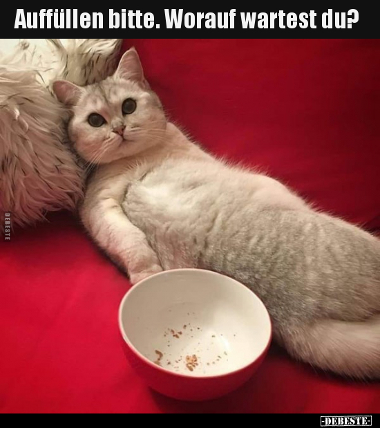 Auffüllen bitte. Worauf wartest du?..