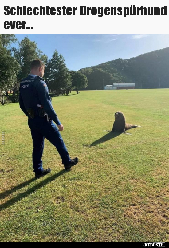 Schlechtester Drogenspürhund ever... - Lustige Bilder | DEBESTE.de