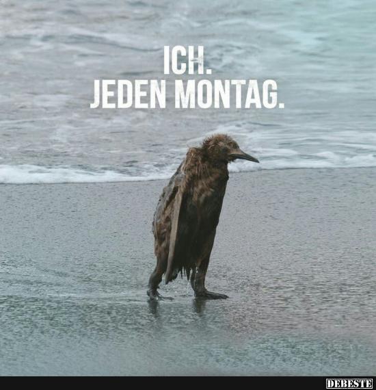 Ich. Jeden Montag.