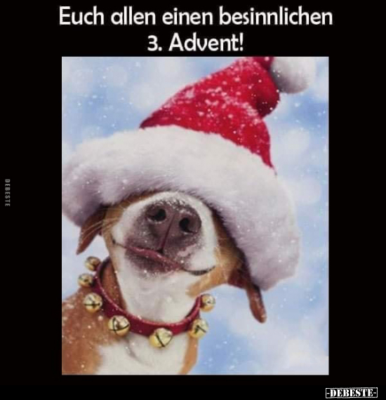 Euch allen einen besinnlichen 3. Advent!.. - Lustige Bilder | DEBESTE.de