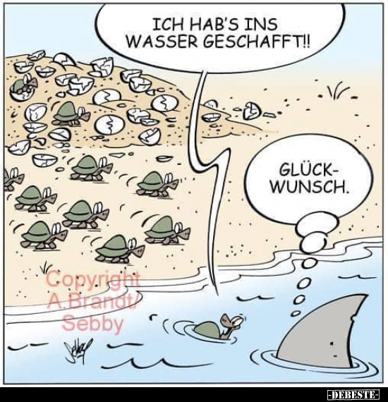 Ich hab's ins Wasser geschafft!!.. - Lustige Bilder | DEBESTE.de