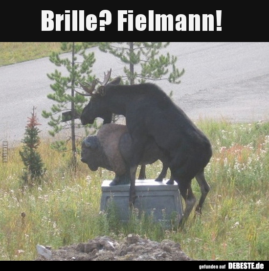 Brille? Fielmann!.. - Lustige Bilder | DEBESTE.de