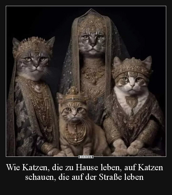 Wie Katzen, die zu Hause leben, auf Katzen schauen, die.. - Lustige Bilder | DEBESTE.de