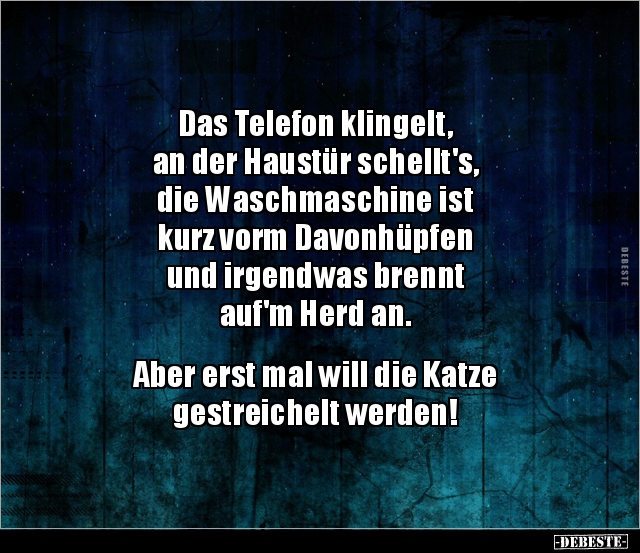 Das Telefon klingelt, an der Haustür schellt's.. - Lustige Bilder | DEBESTE.de