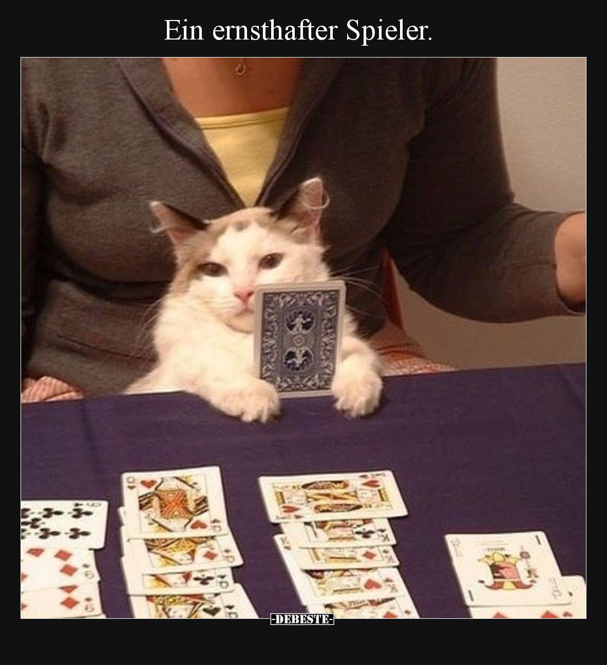 Ein ernsthafter Spieler.