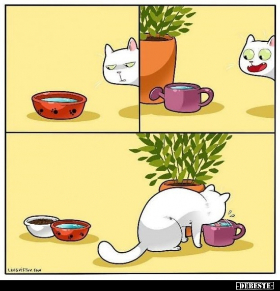  - Lustige Bilder | DEBESTE.de