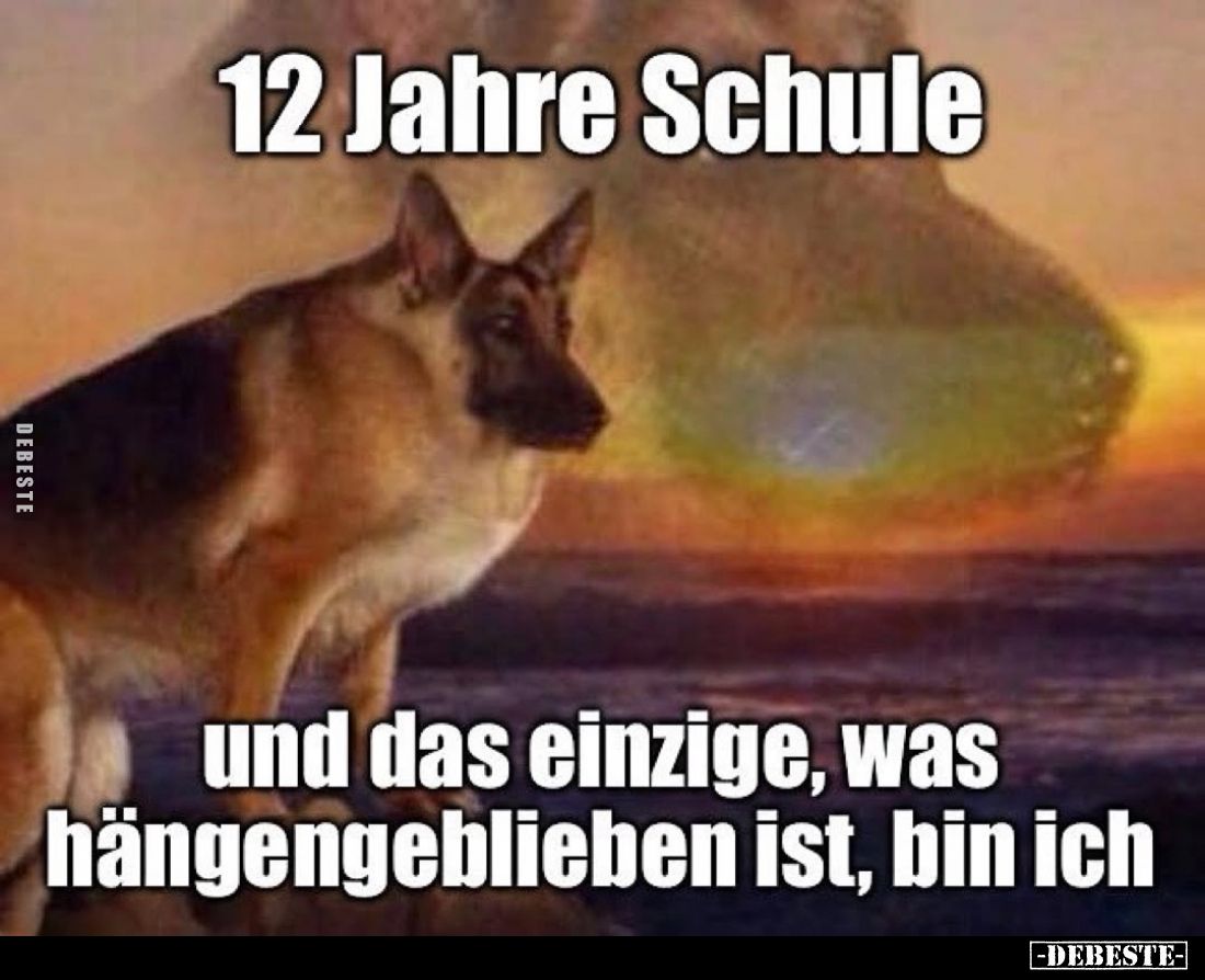 12 Jahre Schule
und das einzige, was hängengeblieben ist, bin ich.
